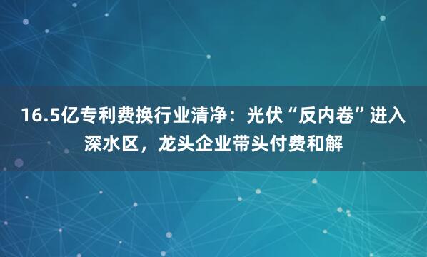 16.5亿专利费换行业清净：光伏“反内卷”进入深水区，龙头企业带头付费和解