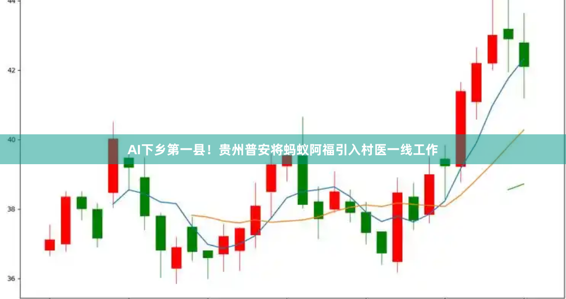 AI下乡第一县！贵州普安将蚂蚁阿福引入村医一线工作