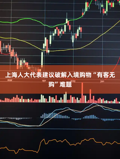 上海人大代表建议破解入境购物“有客无购”难题