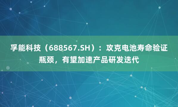 孚能科技（688567.SH）：攻克电池寿命验证瓶颈，有望加速产品研发迭代